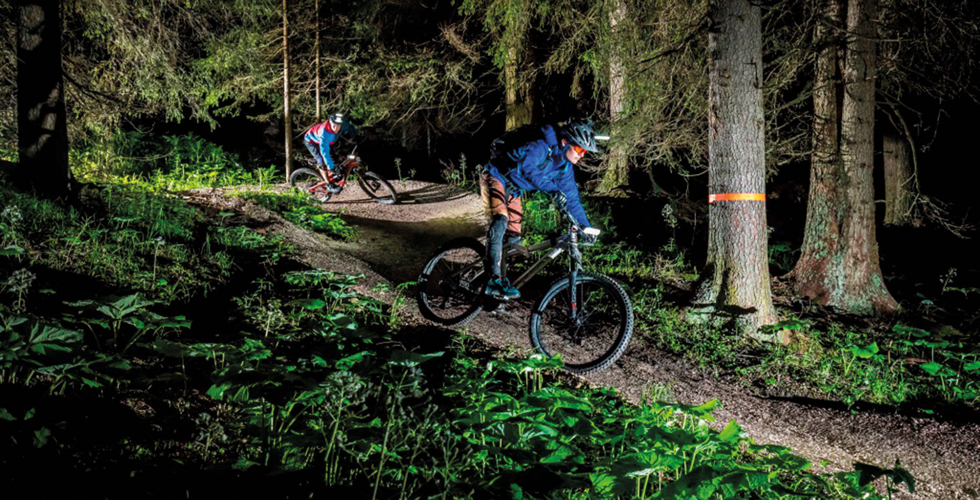 Mountain Bike in Alto Adige