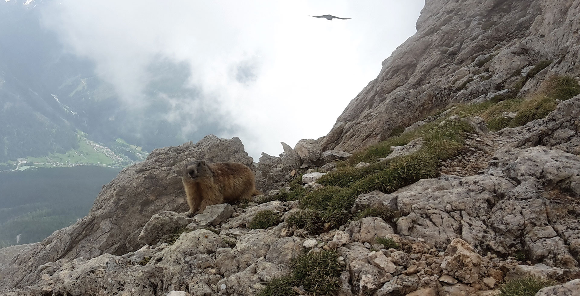 Hiking tours South Tyrol