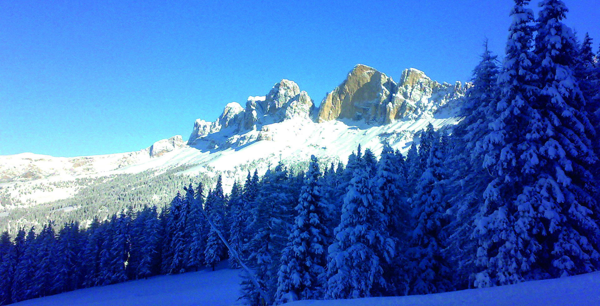 Aktivitäten Skigebiet Carezza