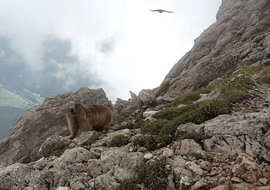 Dolomiti Super Sun
