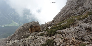 Dolomiti Super Sun