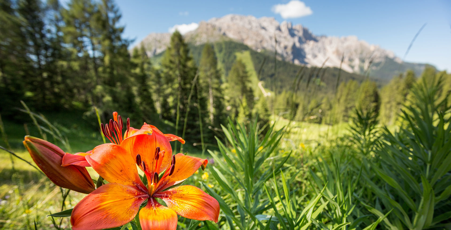 Dolomiten UNESCO Welterbe